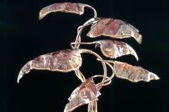 Copper Lighting Monarch Caladium