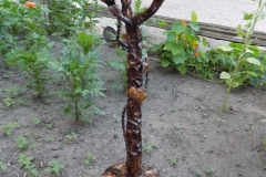 artscapelighting-copper-art-Bird Bath Stand
