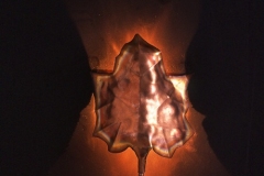 artscapelighting-copper-art-MAPLE LEAF SCONCE
