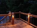 artscapelighting-copper-art-OAK LEAF SCONCE