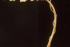 artscapelighting-copper-art-Oak Path