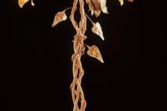 artscapelighting-copper-art-Trumpet Vine