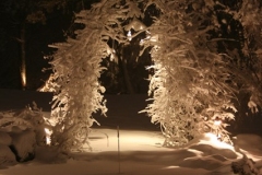 artscapelighting-copper-art-wedding arbor