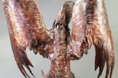 griffin-4