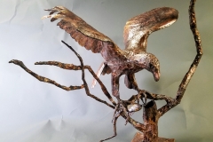 new-eagle-1