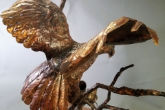 new-eagle-2