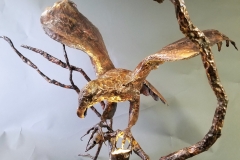 new-eagle-3