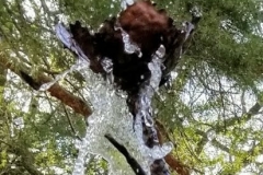 2019-05-14_19.53.43