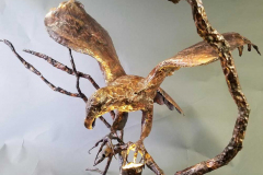 Eagle-fish-copper-1