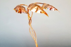 Copper Lighting Caladium
