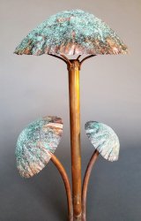 copper mushroom 3