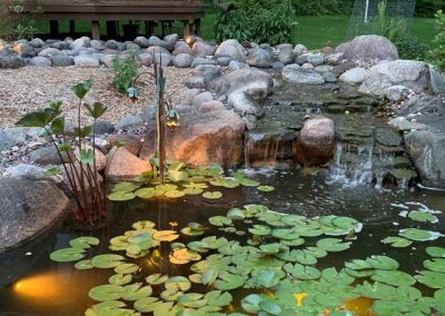 cattail bouquet copper lighting pond